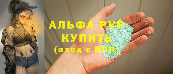 стаф Абинск