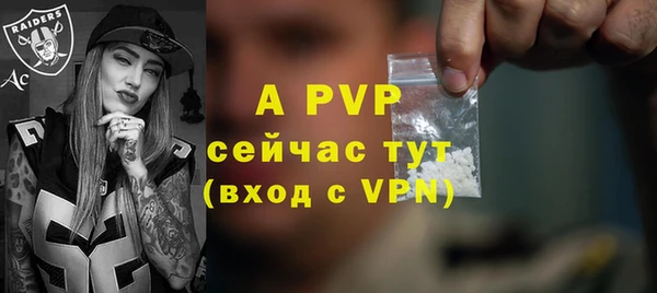 стаф Абинск
