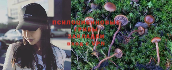 стаф Абинск