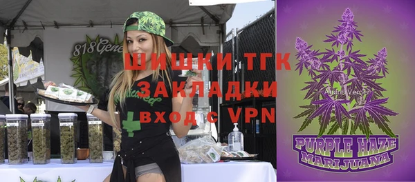 стаф Абинск