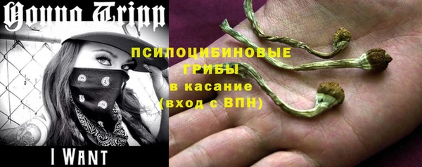 стаф Абинск