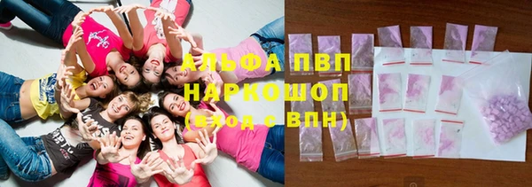 стаф Абинск