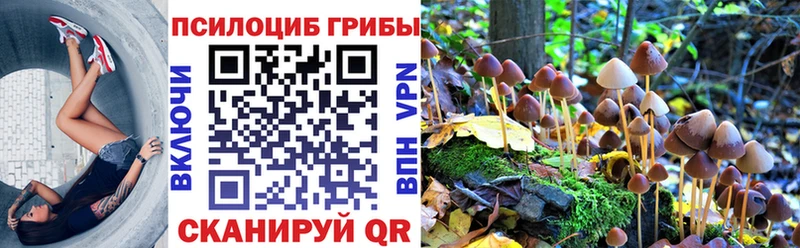 Галлюциногенные грибы GOLDEN TEACHER  магазин    Таганрог 